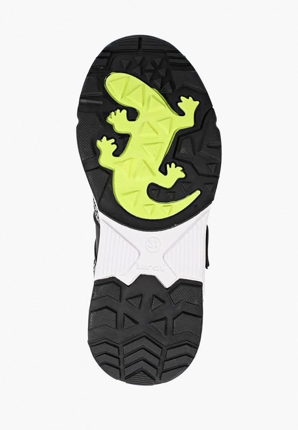 фото Кроссовки salamander