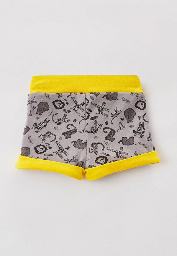 фото Шорты спортивные котмаркот