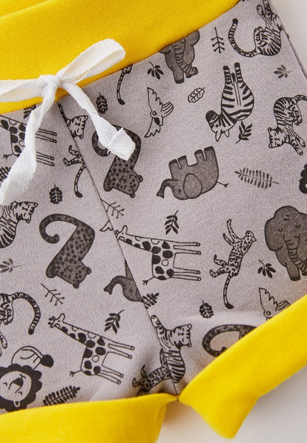 фото Шорты спортивные котмаркот