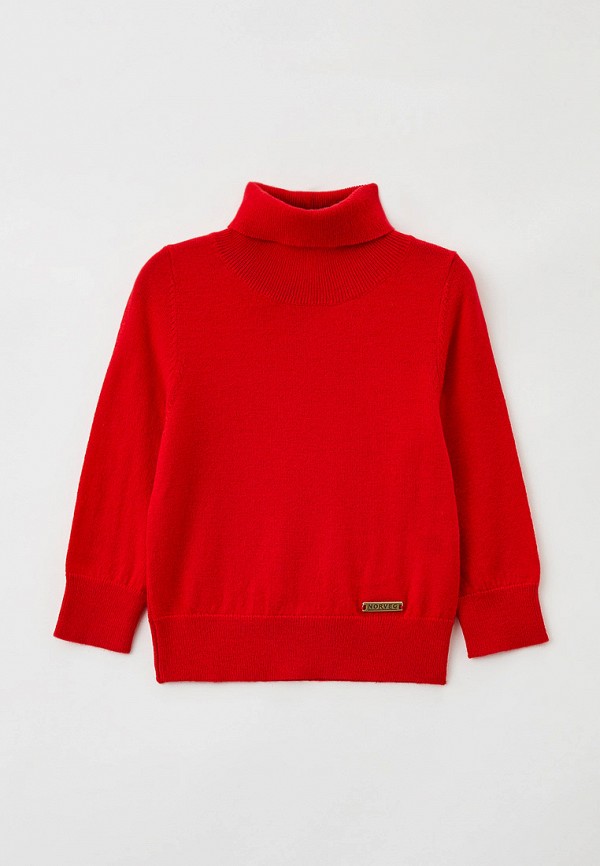 фото Водолазка norveg