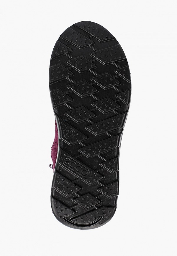 фото Сапоги ecco