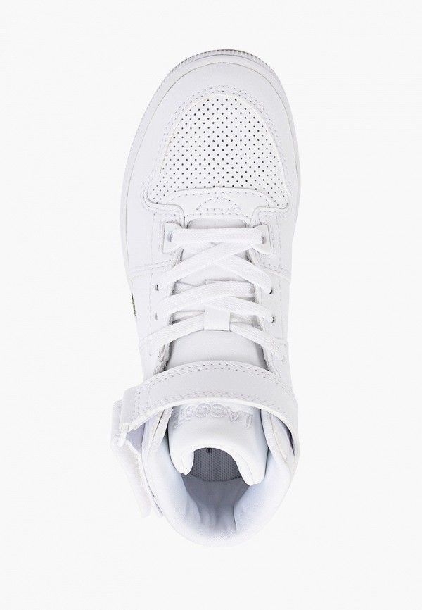 фото Кеды lacoste
