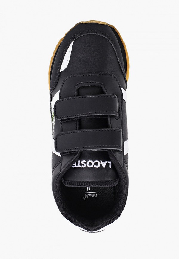 фото Кроссовки lacoste