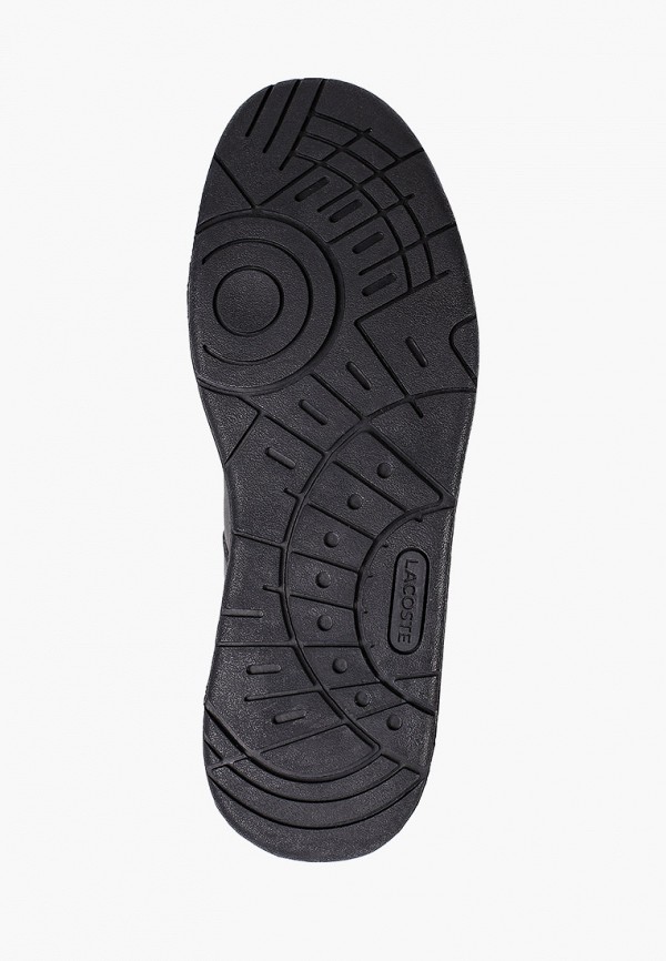 фото Кеды lacoste