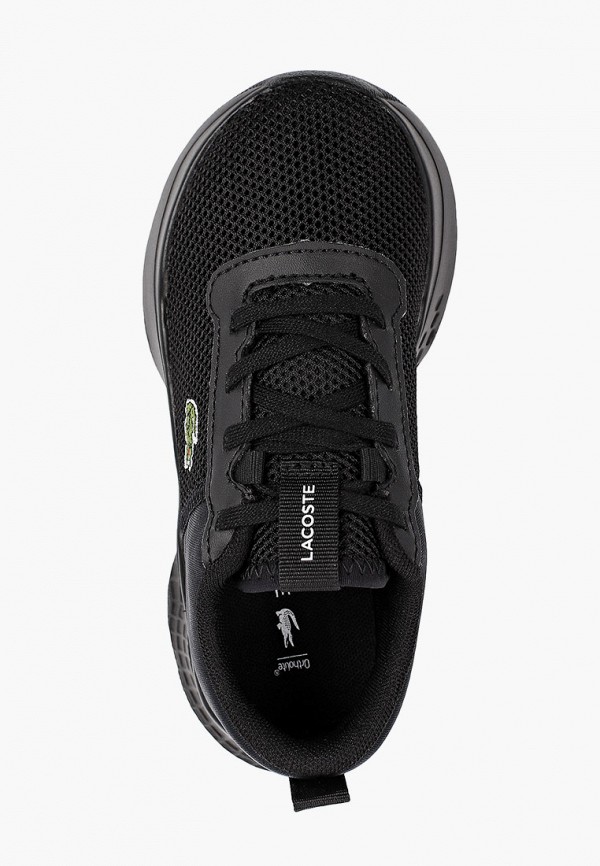 фото Кроссовки lacoste