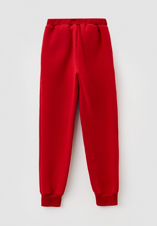 фото Брюки спортивные katasonov