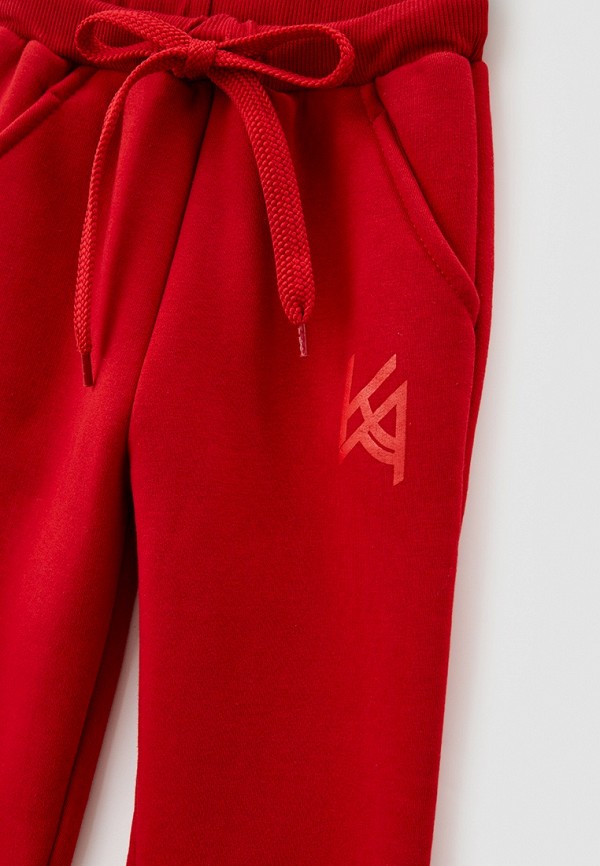 фото Брюки спортивные katasonov