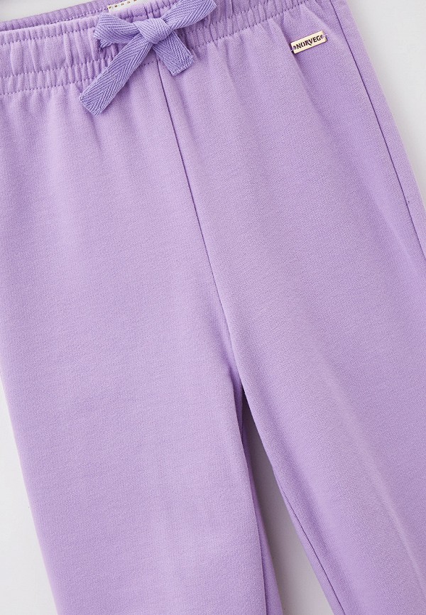 фото Брюки спортивные norveg