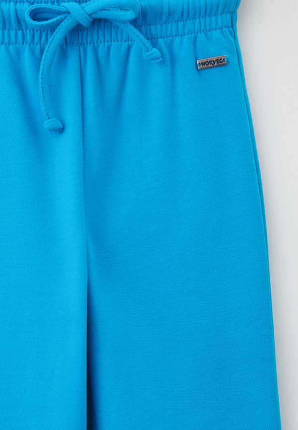 фото Брюки спортивные norveg