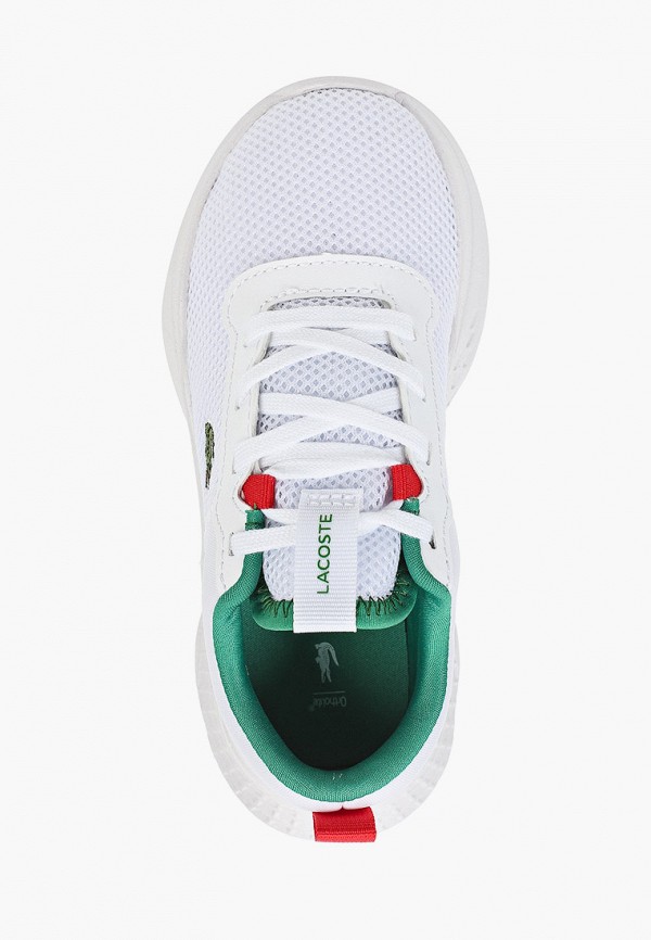 фото Кроссовки lacoste