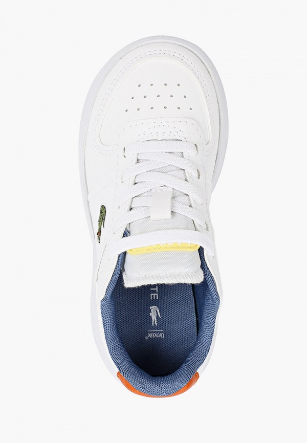 фото Кроссовки lacoste