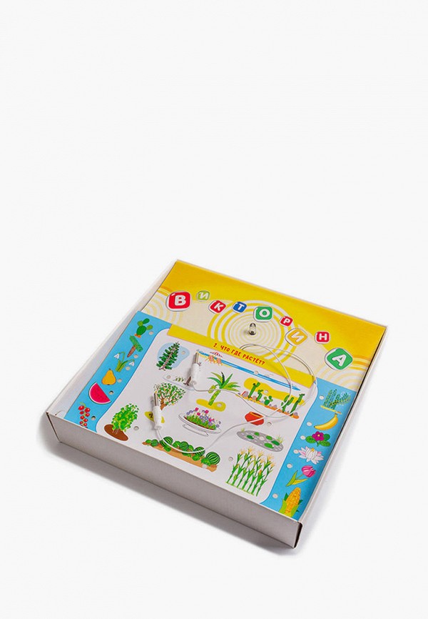 Игра настольная  Дрофа-Медиа фото