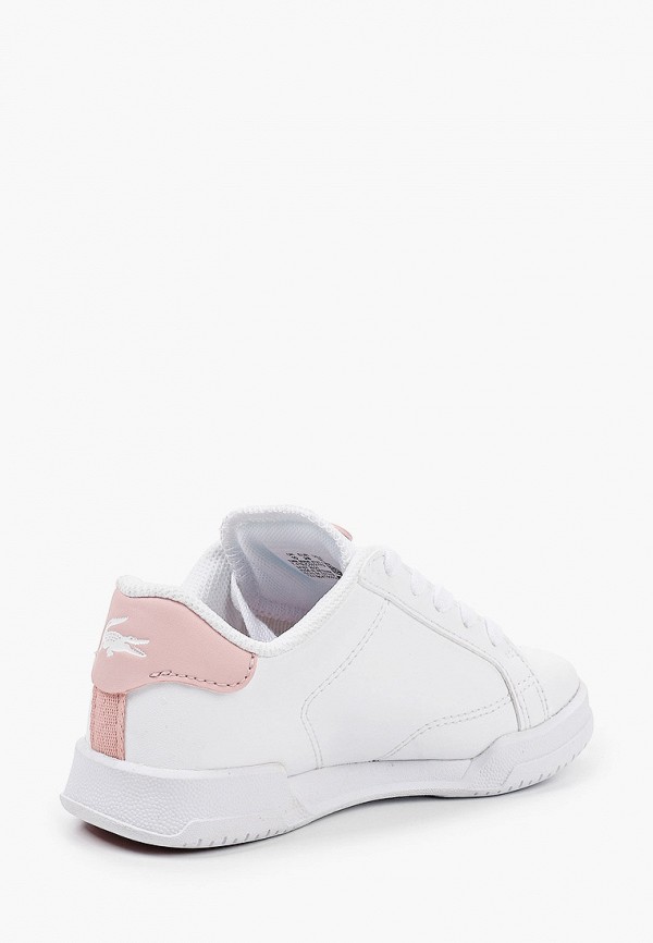 фото Кеды lacoste