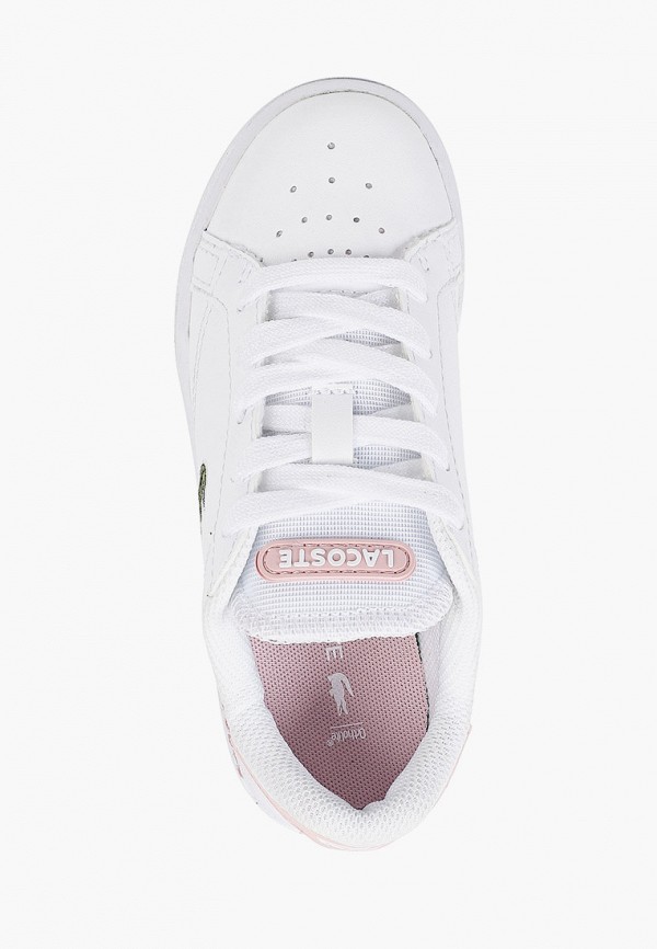 фото Кеды lacoste