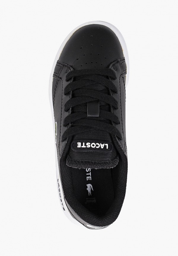 фото Кеды lacoste