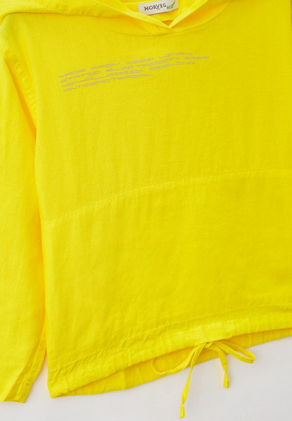 фото Худи norveg