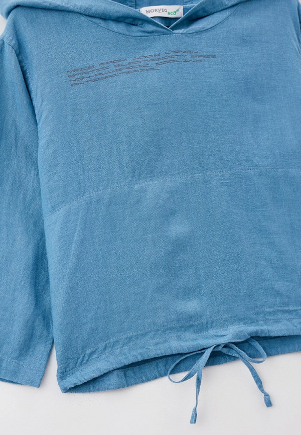 фото Худи norveg