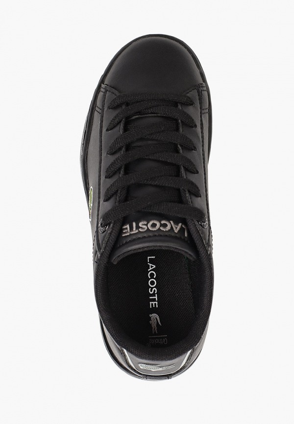 фото Кеды lacoste