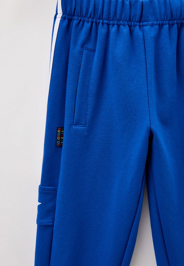 фото Брюки спортивные katasonov