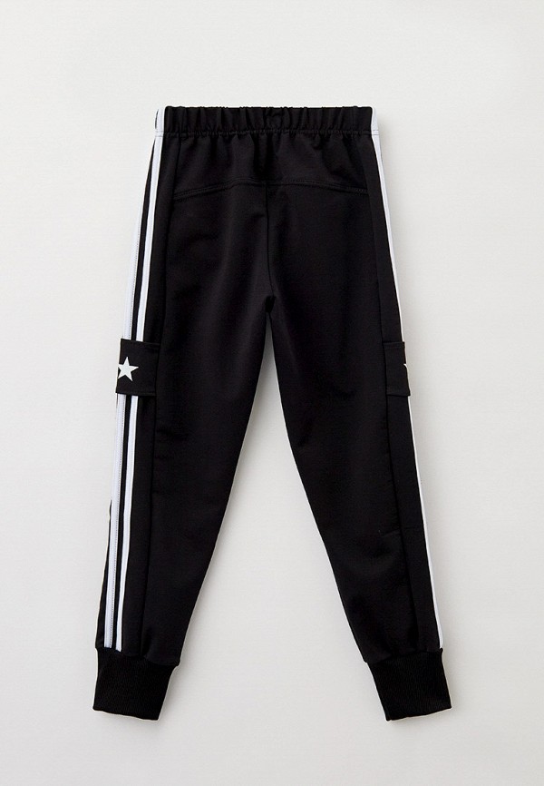 фото Брюки спортивные katasonov