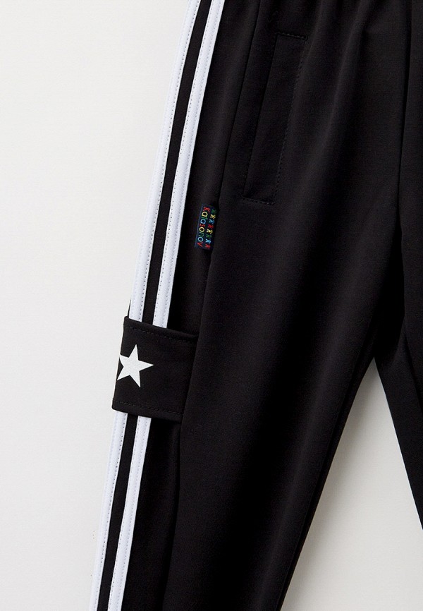 фото Брюки спортивные katasonov