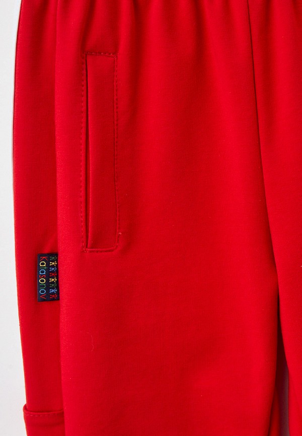 фото Брюки спортивные katasonov