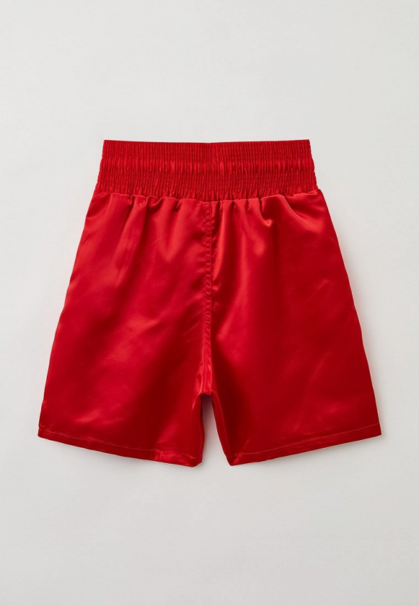 фото Шорты спортивные demix