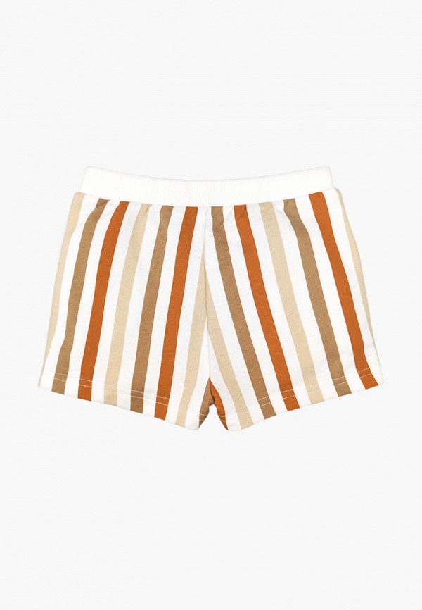 фото Шорты спортивные mjolk