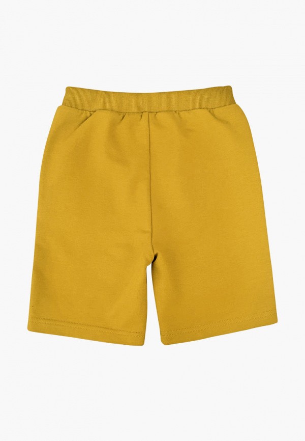 фото Шорты спортивные 2 шт. mjolk