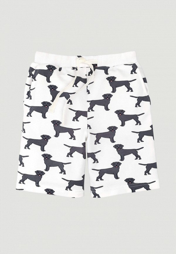 Шорты спортивные Mjolk 1299₽