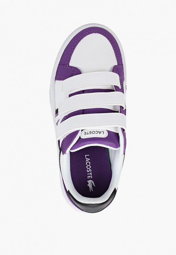 фото Кеды lacoste