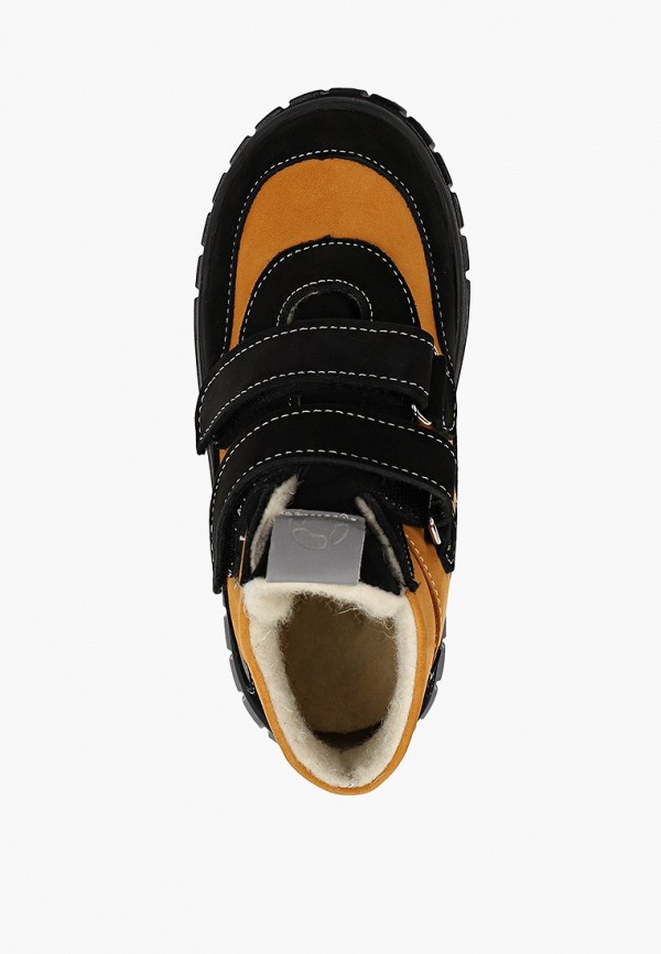 фото Кеды tapiboo