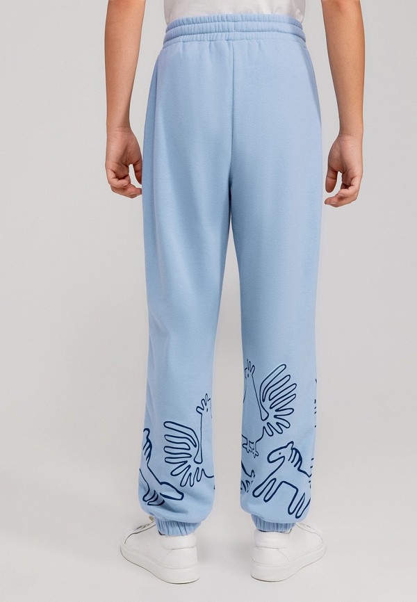 фото Брюки спортивные acoola