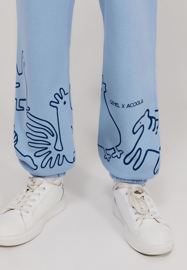 фото Брюки спортивные acoola