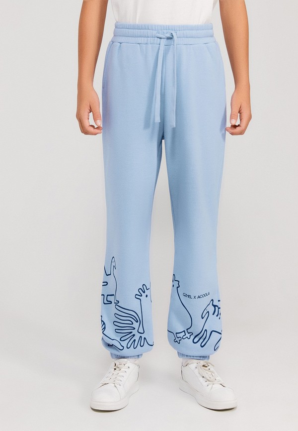 фото Брюки спортивные acoola