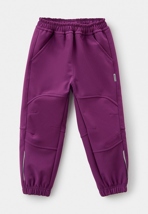 фото Брюки спортивные nikastyle