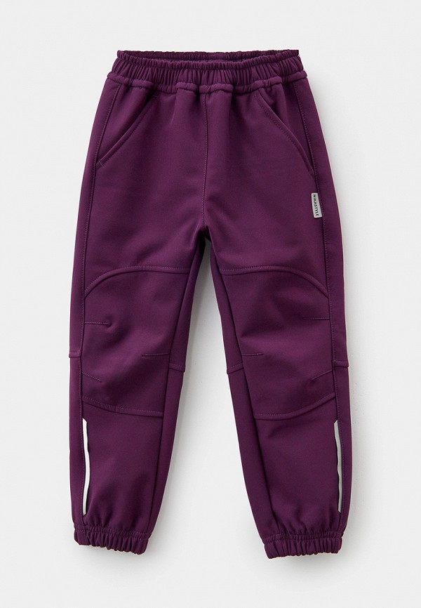 фото Брюки спортивные nikastyle