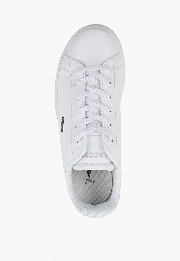 фото Кеды lacoste
