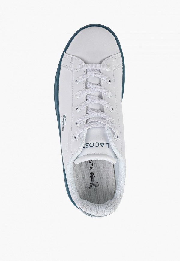 фото Кеды lacoste
