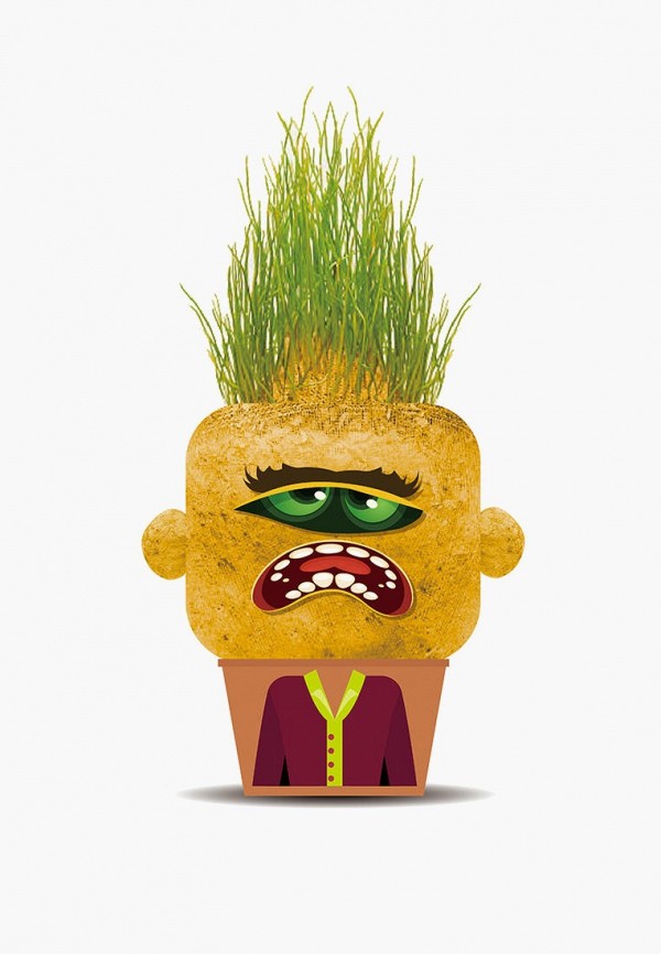 Набор Hape 1264₽