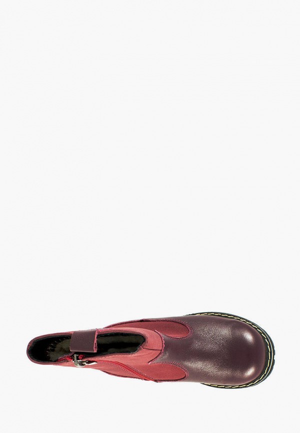 

Ботинки Avis, Бордовый, Avis MP002XG01GT2