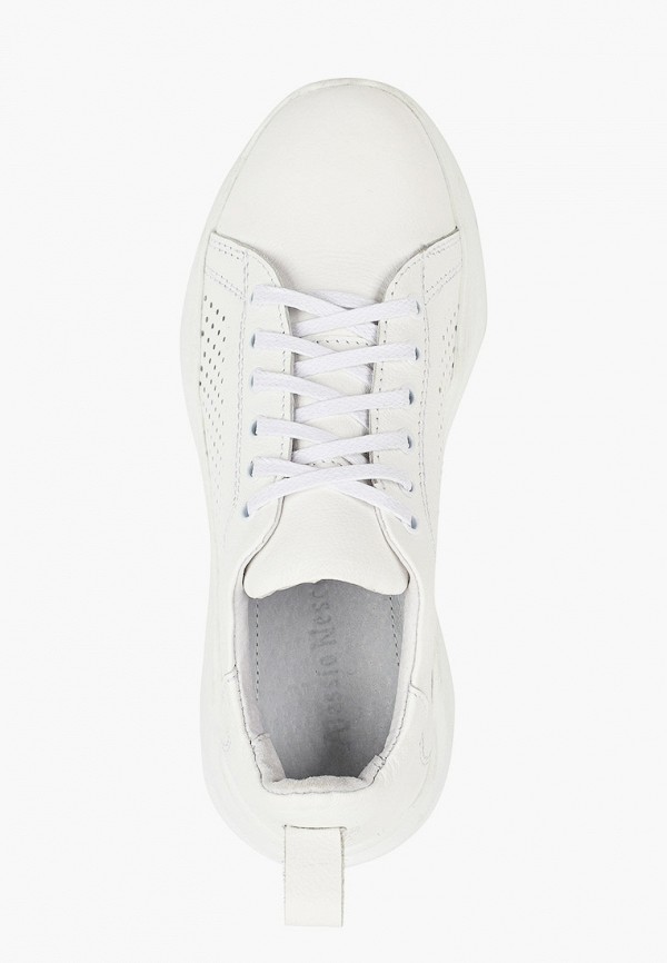 фото Кроссовки alessio nesca