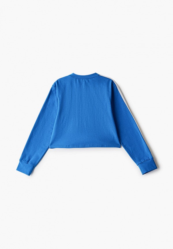 фото Лонгслив спортивный emdi