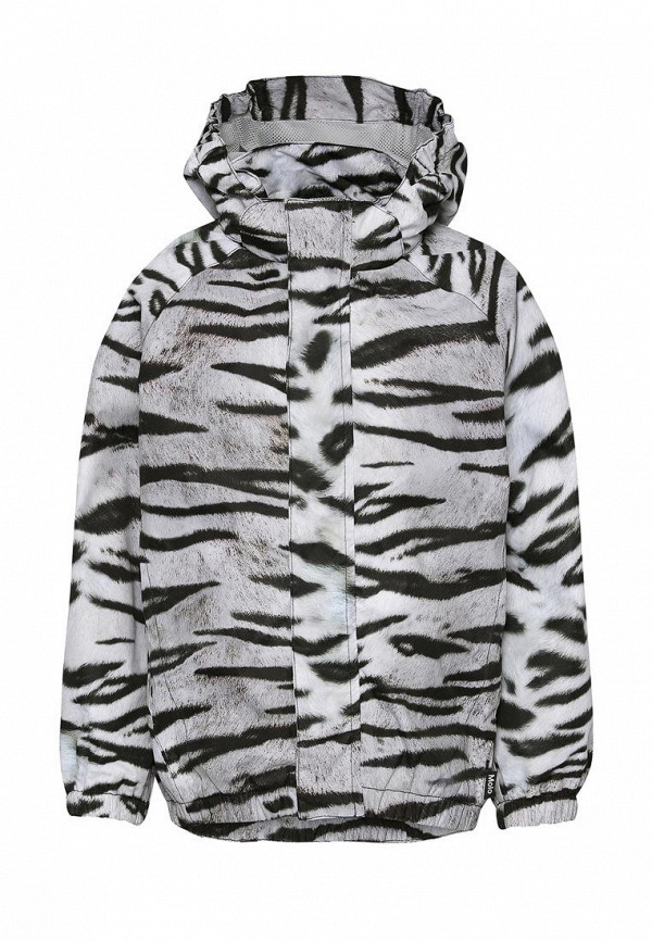 фото Костюм molo