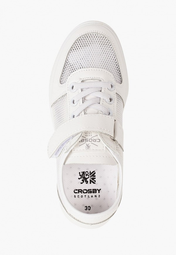 фото Кеды crosby