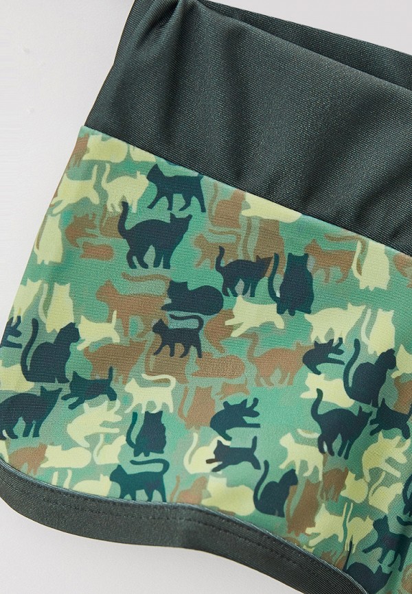 фото Шорты спортивные catfit