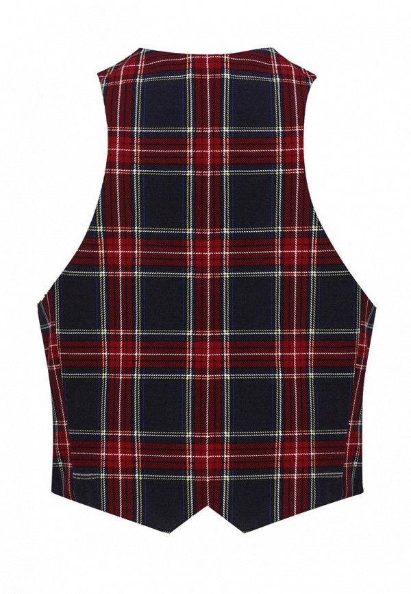 фото Жилет stylish amadeo