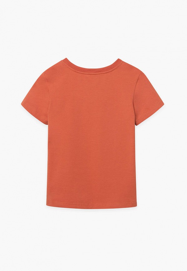 фото Футболка bell bimbo