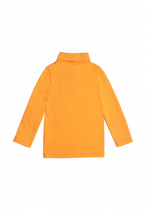 фото Водолазка bossa nova