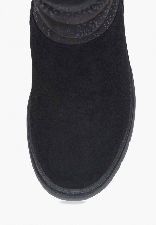 фото Сапоги t.taccardi